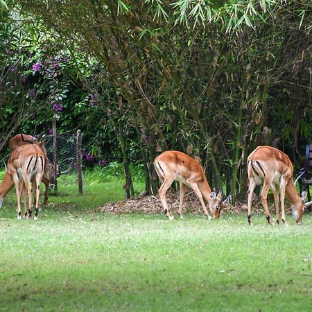 Hotel Lukenya Getaway Athi River Zewnętrze zdjęcie