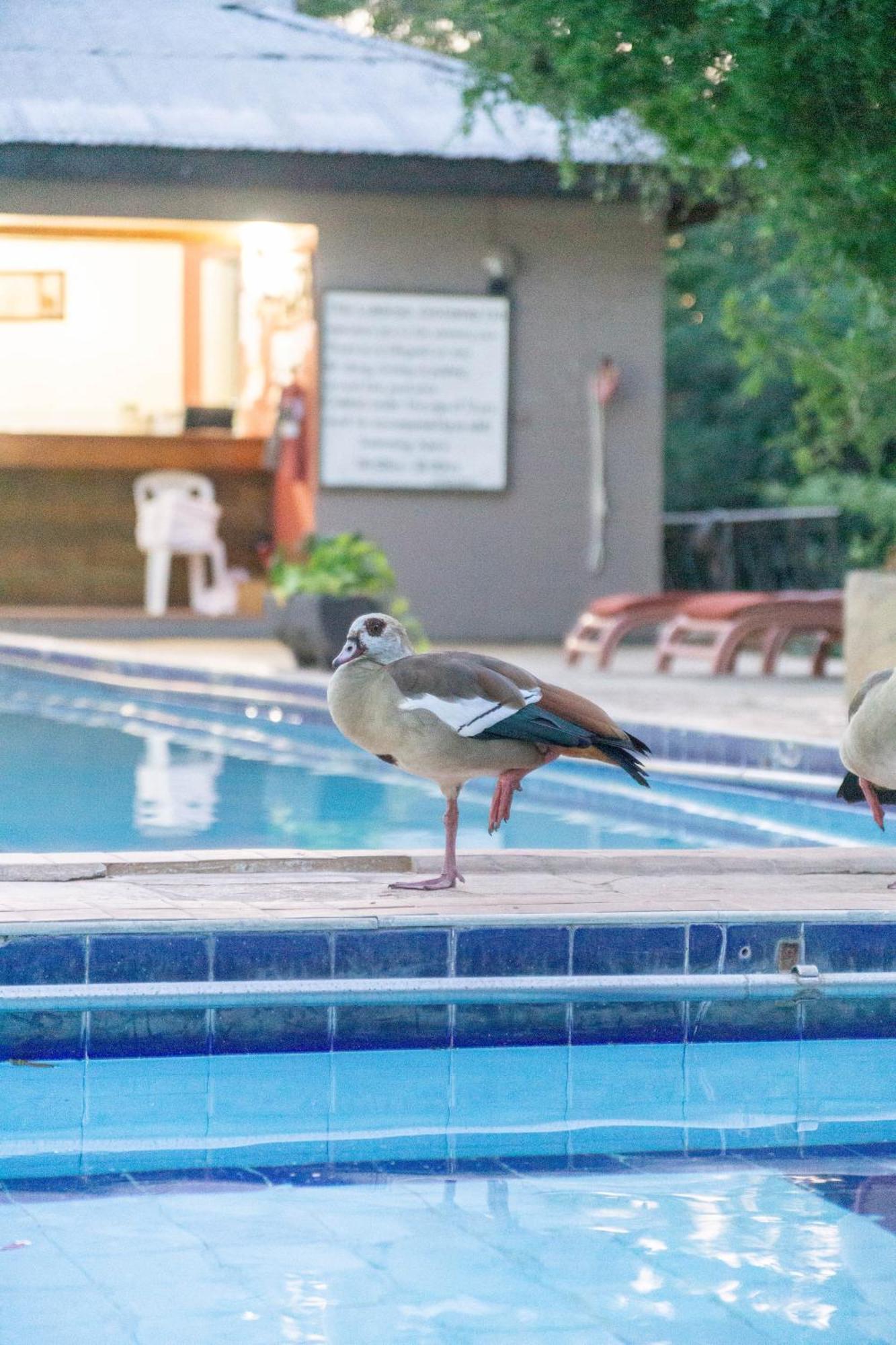 Hotel Lukenya Getaway Athi River Zewnętrze zdjęcie