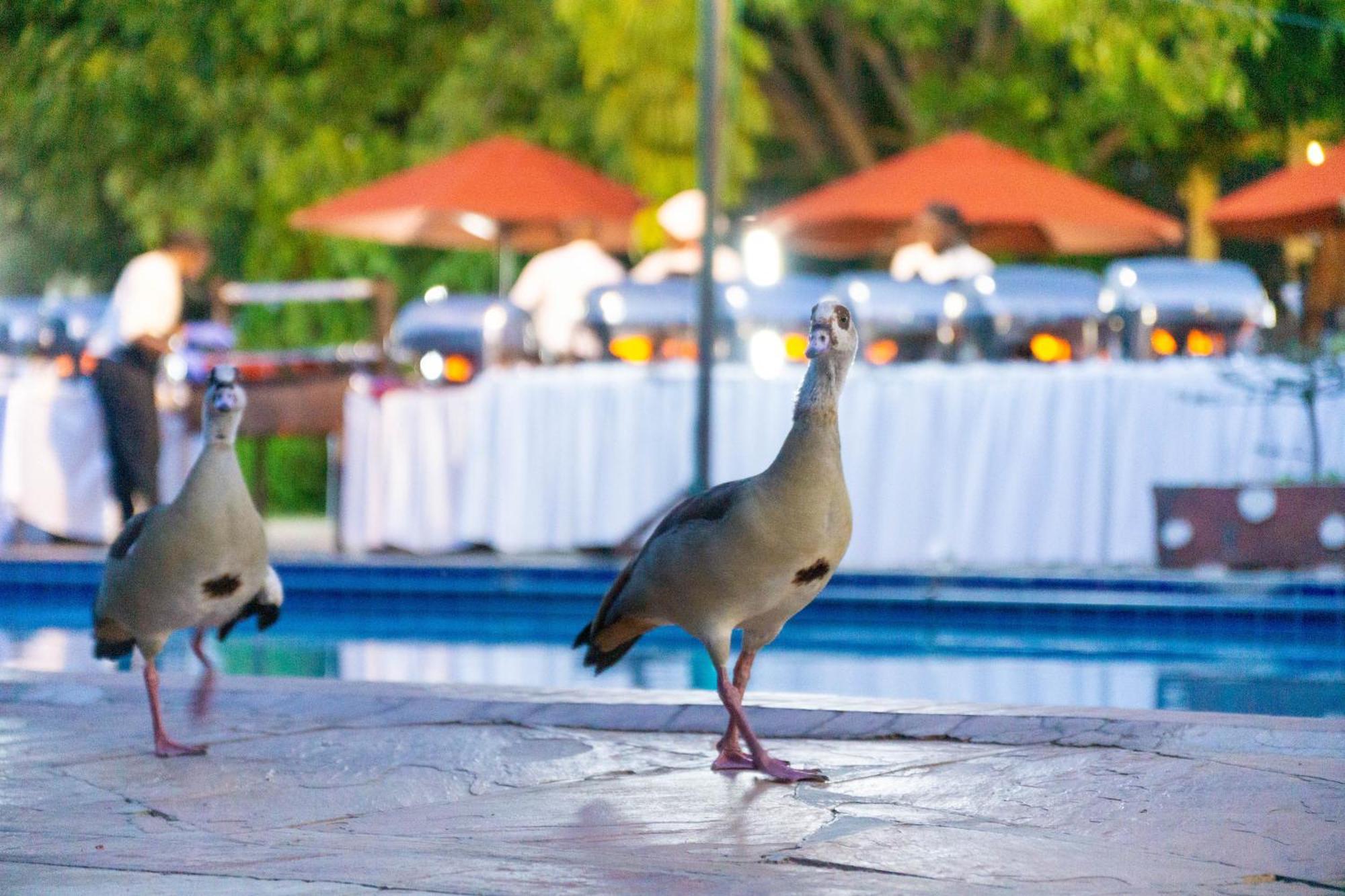 Hotel Lukenya Getaway Athi River Zewnętrze zdjęcie
