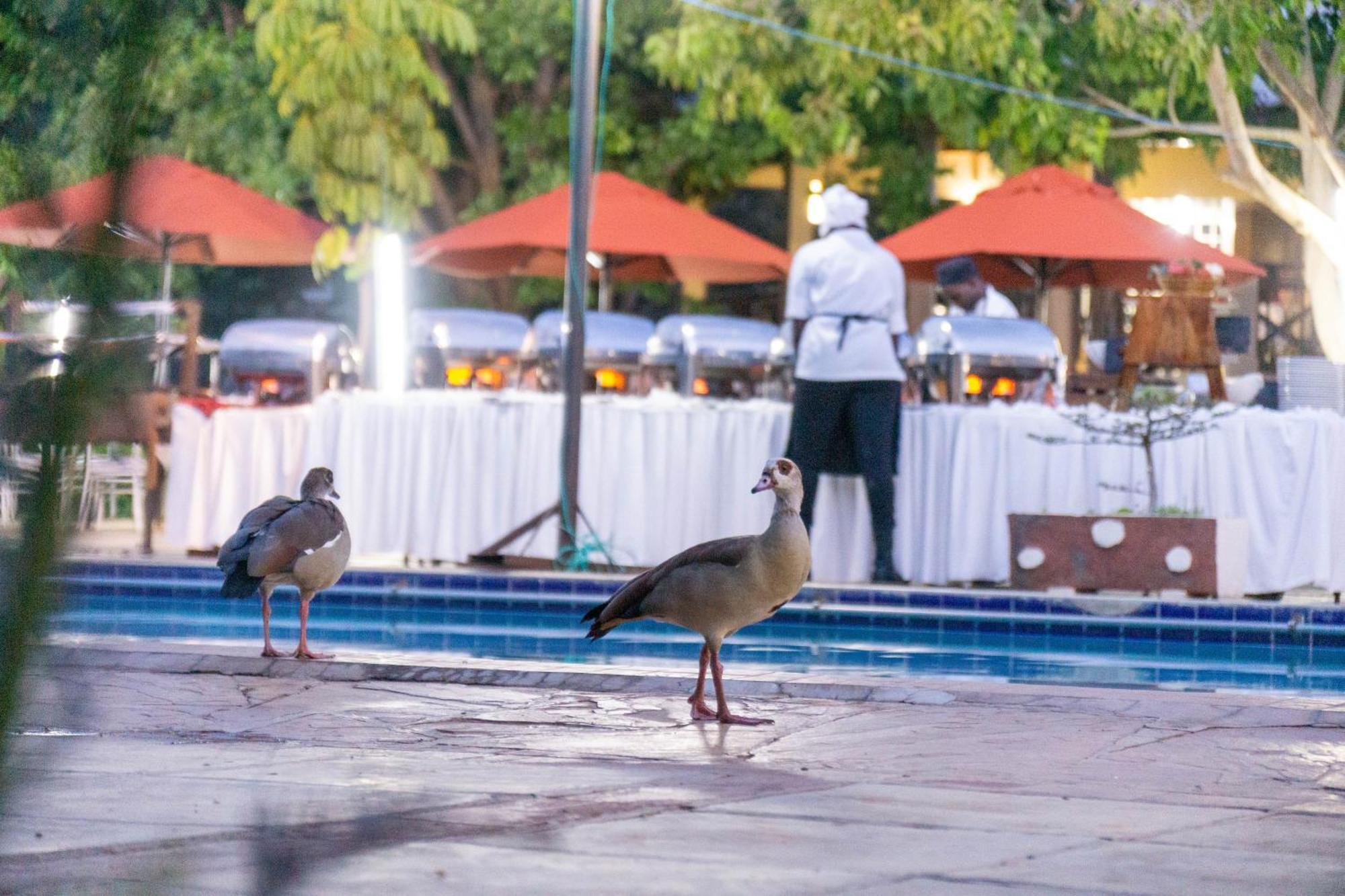 Hotel Lukenya Getaway Athi River Zewnętrze zdjęcie