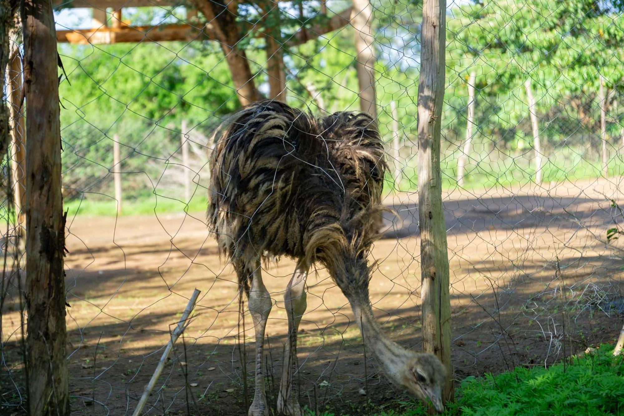 Hotel Lukenya Getaway Athi River Zewnętrze zdjęcie