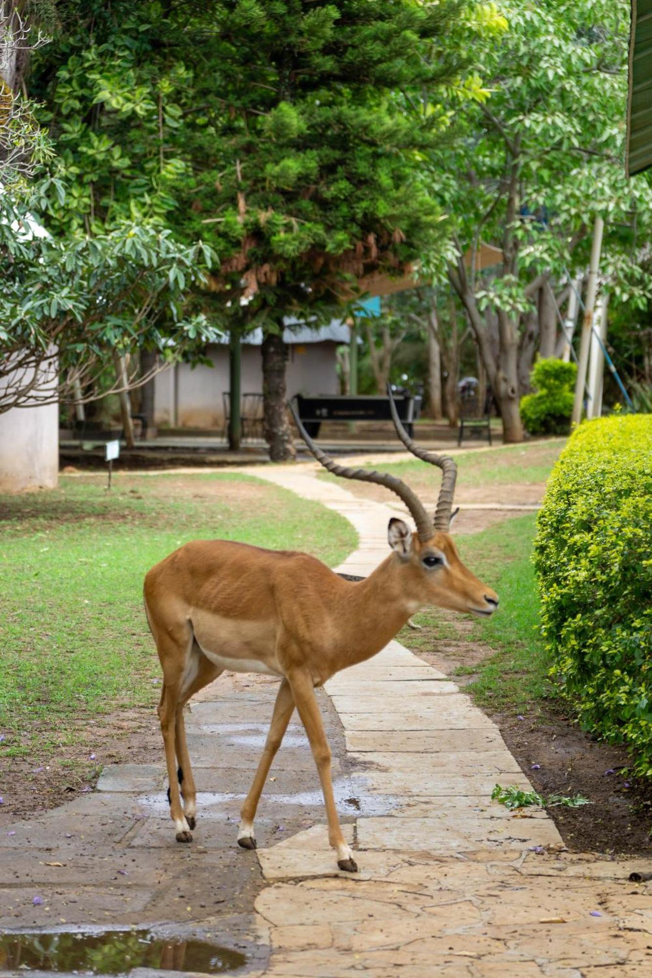 Hotel Lukenya Getaway Athi River Zewnętrze zdjęcie
